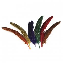 plumes colorees a points 17  22 cm 12 pieces
