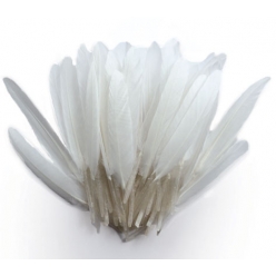 plumes d indien blanches sachet 10g 15cm