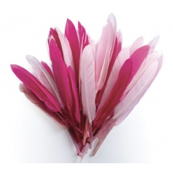 plumes d indien camaieu rose sachet 10g 15cm