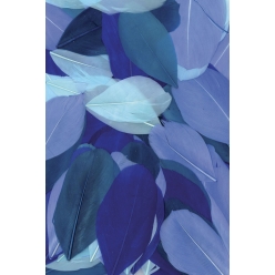 plumes coupees camaieu bleu 10g 6 cm