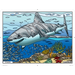 tableau velours a colorier le requin