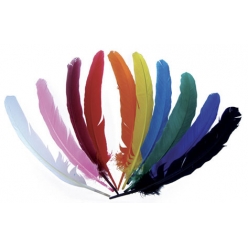 10 plumes d indien  assortiment de couleurs