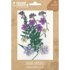 fleurs pressees prairie violet 13 pieces