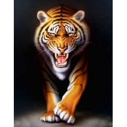 peinture au numero tigre 40 x 50 cm
