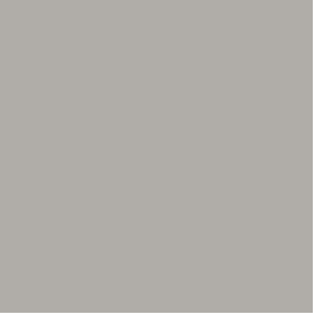 Carton gris