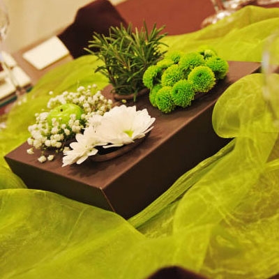 Table nuance vert