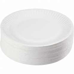 assiettes en carton