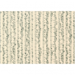 papier cartonne avec impression