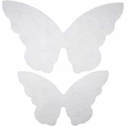 ailes de papillon