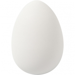 oeuf d oie