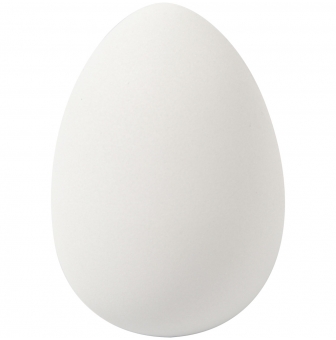 oeuf d oie