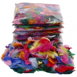 plumes colorees assortiment 7  8 cm 500 gr