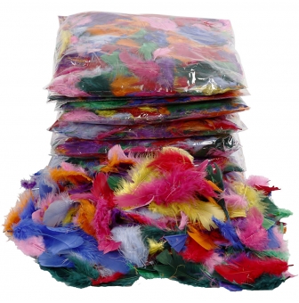plumes colorees assortiment 7 8 cm 500 gr