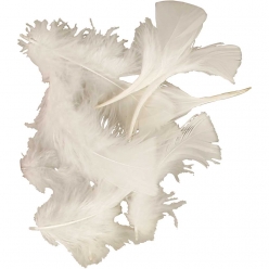 plumes