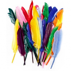 plumes indiennes 17  20 cm assortiment 250 pieces