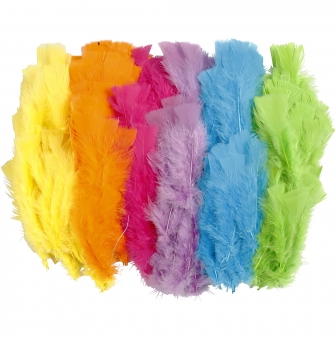 plumes 11  17 cm couleurs assorties 144 pieces
