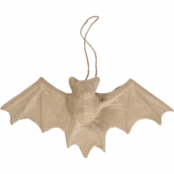 chauve souris