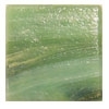 vert fougère veiné