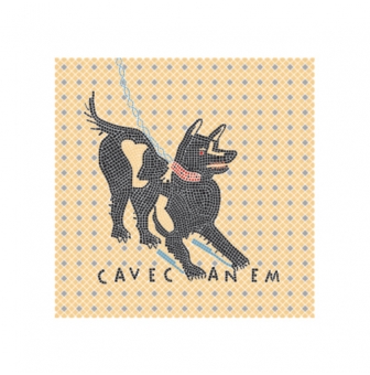 modeles pour mosaique cave canem 50x50 cm