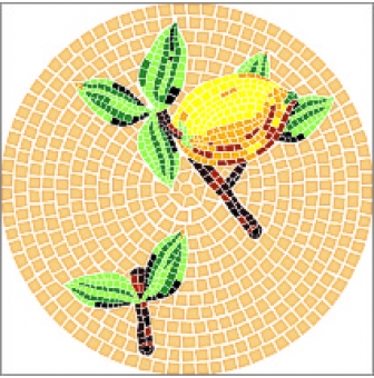 modeles pour mosaique citron 30 cm