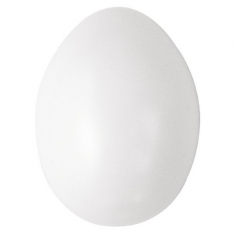 oeufs plastique 6 cm blanc lot de 10 pieces