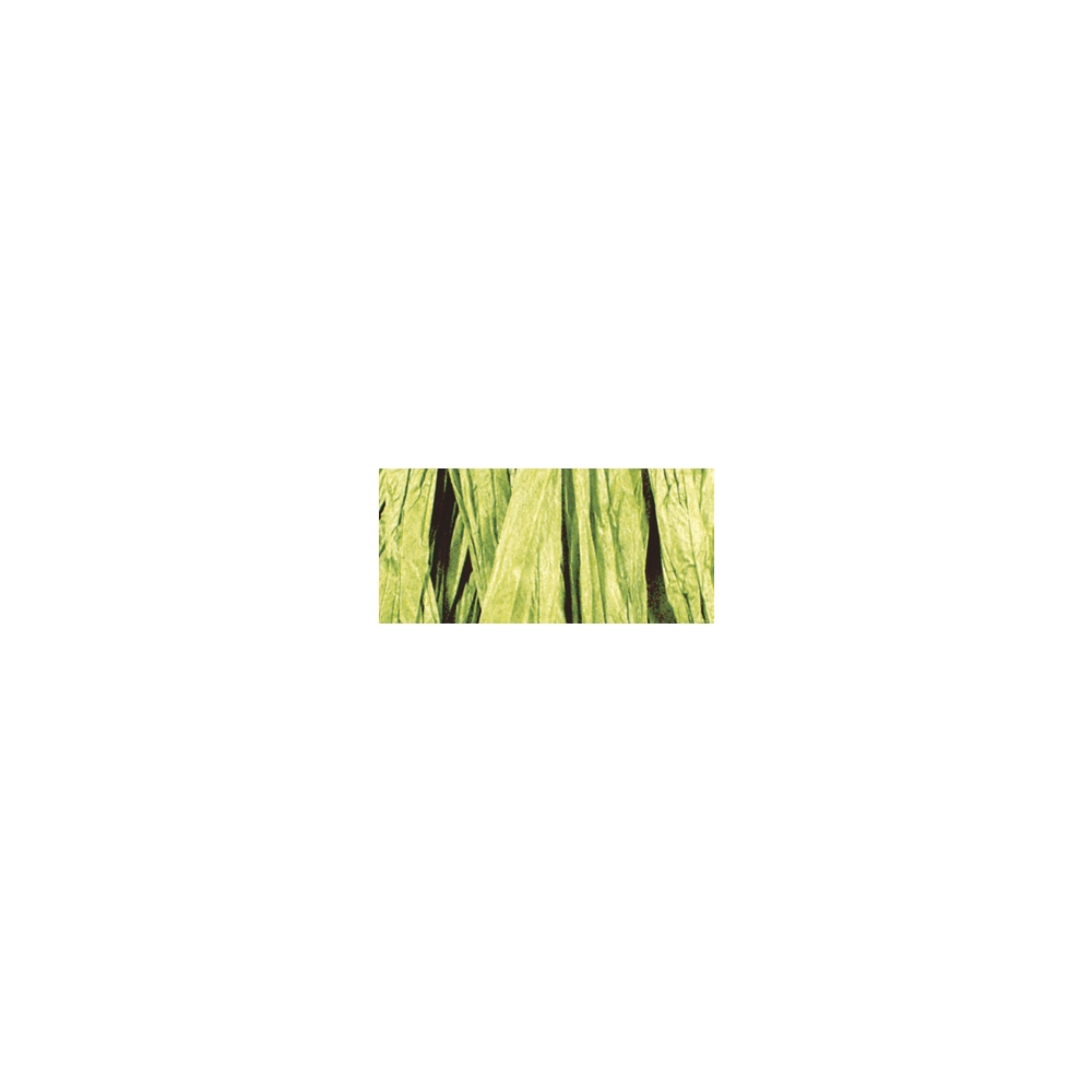 vert clair