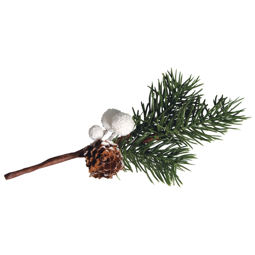 Sapins et rameaux de sapin