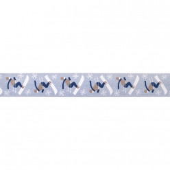 ruban deco skieur
