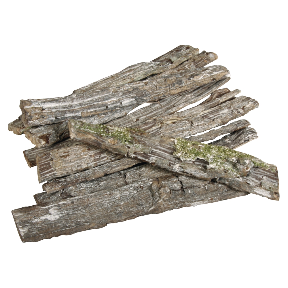 Ecorces, pins et bois flotté