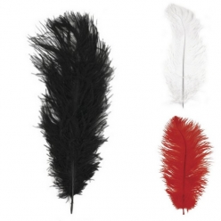 plume d autruche 30 cm 1 piece
