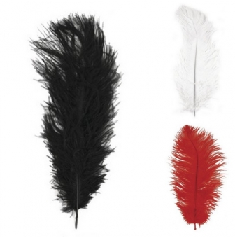 plume d autruche 30 cm 1 piece