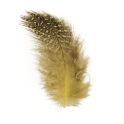 plumes deco 6 cm