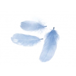 plume fine 85143