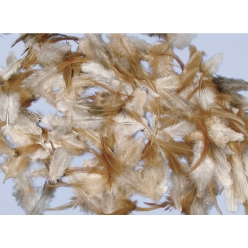 melange de plumes 6  15 cm brunette