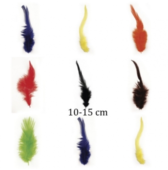 plume a la mode 10  15 cm