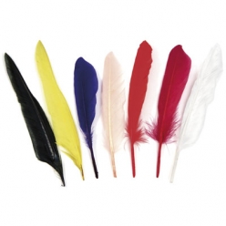 plumes indiennes 175 cm sachet de 12 pieces