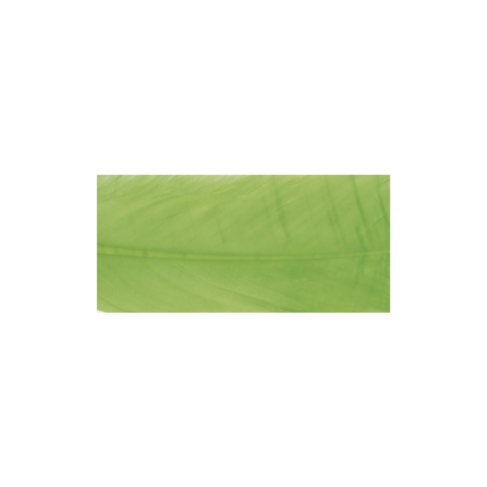 vert tilleul