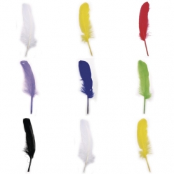 plume d oie 16  20 cm sachet de 8 pieces