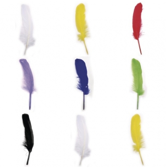plume d oie 16 20 cm sachet de 8 pieces