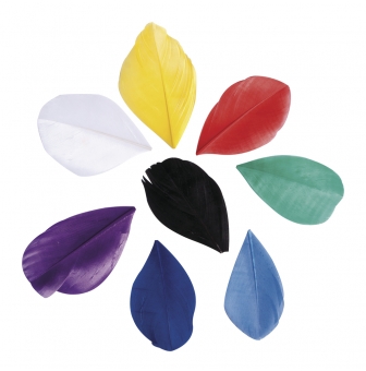 plumes coupees 5 6 cm