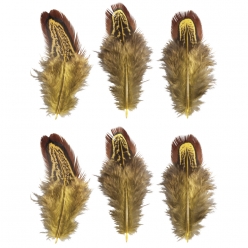 plumes