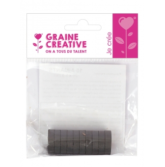 sachet de 10 aimants 20x6 mm