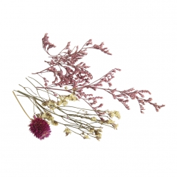 mini fleurs sechees