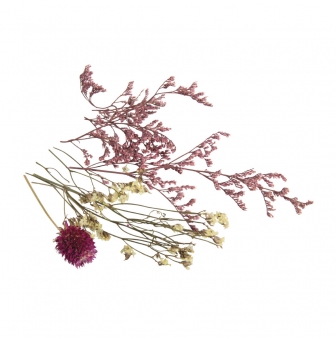mini fleurs sechees