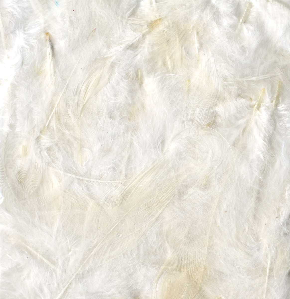 blanc