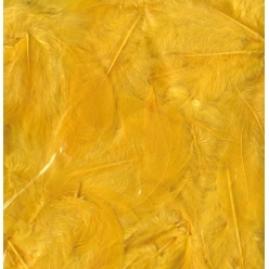plumes ebouriffees 10g grand paquet