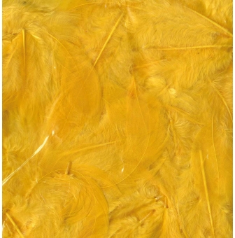 plumes ebouriffees 10g grand paquet