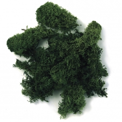 mousse d islande vert fonce 1 kg