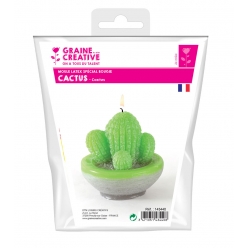 moule a bougie en latex cactus