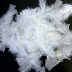plumes blanches 250g